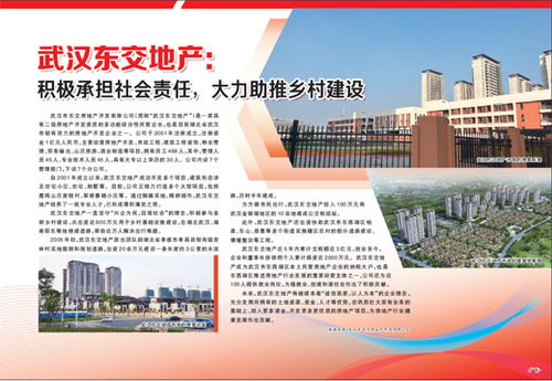 武汉东交地产 积极承担社会责任,大力助推乡村建设